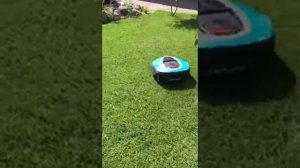 до чего дошел прогресс    Чудо косилка робот