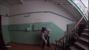 Уборщицы подъездов , которых мы заслужили