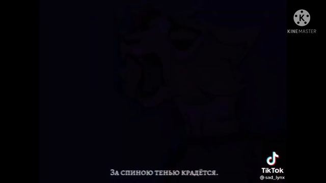 коты воители тик ток 2ч смотреть онлайн