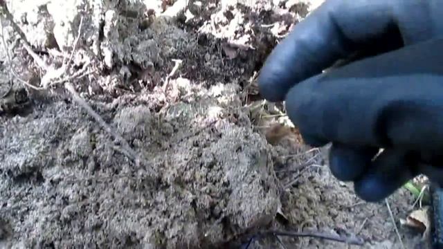 Коп на фундаменте старой школы 22.08.2015 -Владимирская обл смотреть онлайн