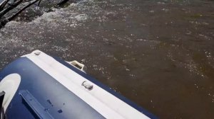 река Катен 2019