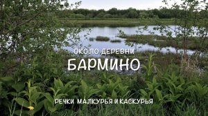 Около деревни Бармино...