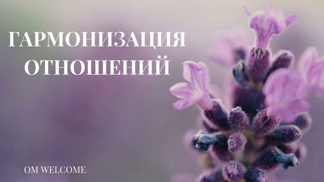 Гармонизация отношений
