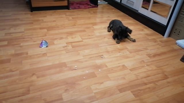 Гоняем глистов:) Творчество моей дочери. смотреть онлайн