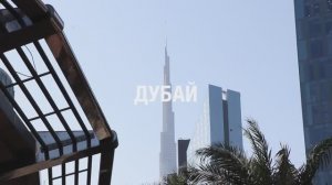 Дубай. Экскурсия по богатой жизни. Большой выпуск.