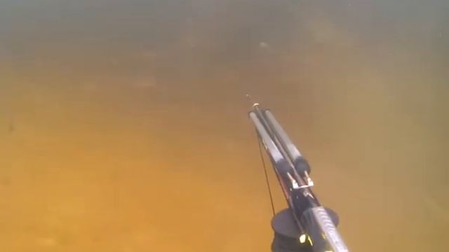 охота на окуня смотреть онлайн