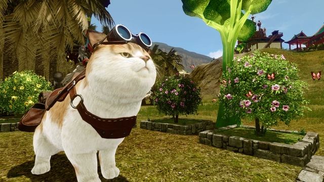 Archeage: Лунные руны