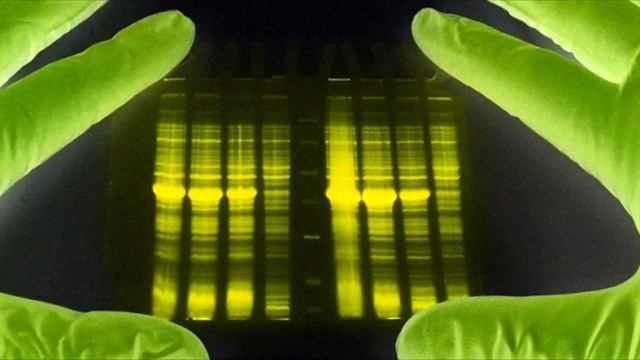 Первый преступник, пойманный с помощью ДНК-теста. Колин Питчфорк. смотреть онлайн