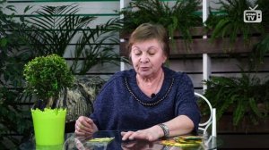 ПОДСОЛНЕЧНИК Декоративные виды ? Как правильно рассчитать сроки посадки? обзор
