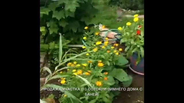 ЛО, Волховский р-н, Пупышево, СНТ Центр, продажа дома с участком 10 сот. смотреть онлайн