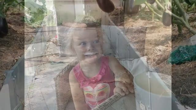 КЕДРОВАЯ СВАДЬБА МОГИЛЕВ 2021 смотреть онлайн