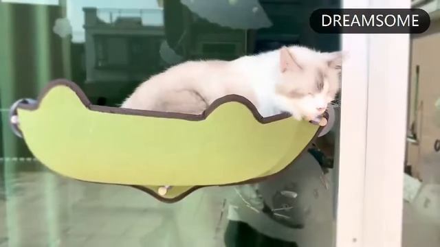 Гамак на стекло для кошек