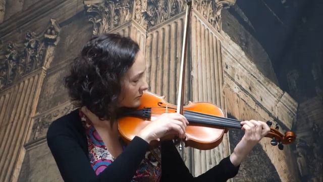 14 inch Gliga Viola www.ViolinStore.com.au