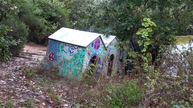 Hungry and angry dogs on a rainy day. смотреть онлайн