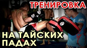 Тренировка на Тайских падах.