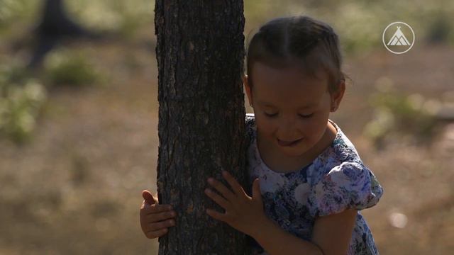 Видеопутешествие на стойбище семьи Айпиных