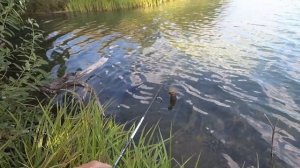 Мормышинг на озере Чехойдарово. НАВАХО мормышка 198 см, 02-1г четырех частник