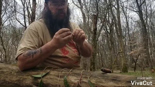 Trout Lily, Erythronium americanum смотреть онлайн