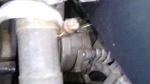 Свист под капотом у октавии((