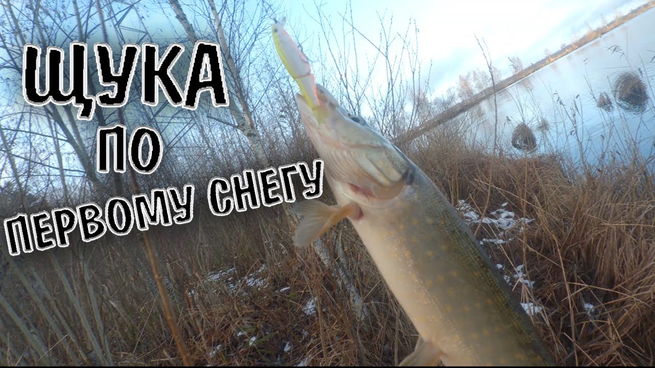Щука По Первому Снегу/Рыбалка На Спиннинг