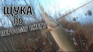 Щука По Первому Снегу/Рыбалка На Спиннинг