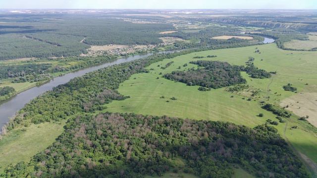FIMI0054 смотреть онлайн