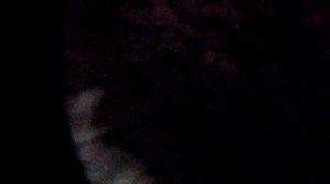 Как заделать трещину у клюшки для хоккея с мячом продолжение следует.