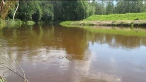 Наталья Бучинская - Река Любви