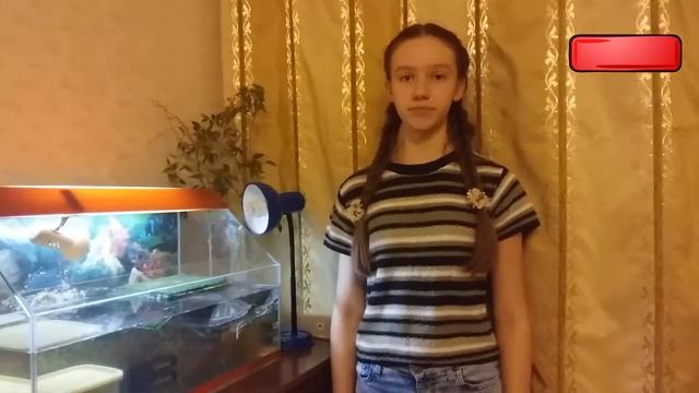 Плюсы и минусы черепахи в доме. смотреть онлайн