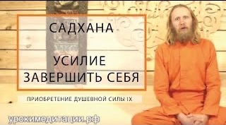 САДХАНА. Приобретение Душевной Силы - 9