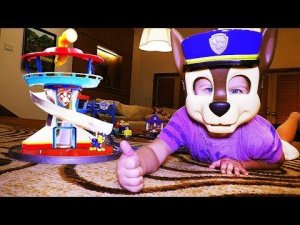 ★ Щенячий Патруль ГОНЩИК и ТРИ СУПЕР ТРЕКА PAW Patrol game Video for Kids Щенячий Патруль PAW Patrol