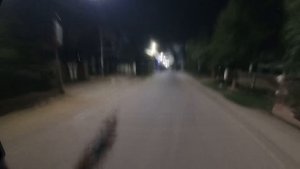 Serbian Dancing Lady vs Parkour pov in india ?