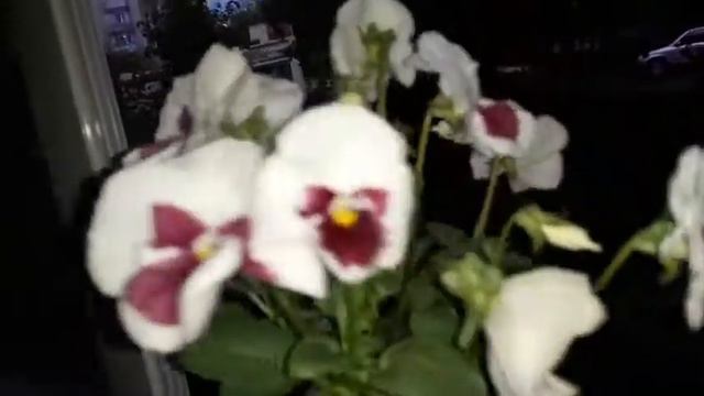 Доброго вечера всем смотреть онлайн