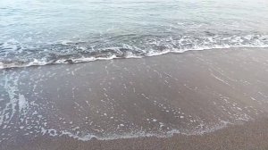 Кемер, берег Средиземного моря. Отель Эламир. декабрь 2020