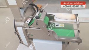 Pleurotus Eryngii Slice Machine Mushroom Cutting Machine