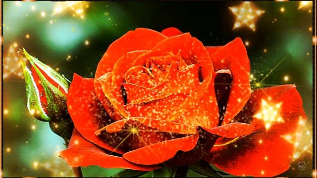 СПОКОЙНОЙ НОЧИ! СЛАДКИХ СНОВ! СПИ КРЕПКО, СЛАДКО, НЕЖНО! ?⭐ МУЗЫКАЛЬНАЯ ВИДЕО ОТКРЫТКА. смотреть онлайн