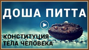 КОНСТИТУЦИЯ ЧЕЛОВЕКА - ДОША ПИТТА ЖЕЛЧЬ.mp4