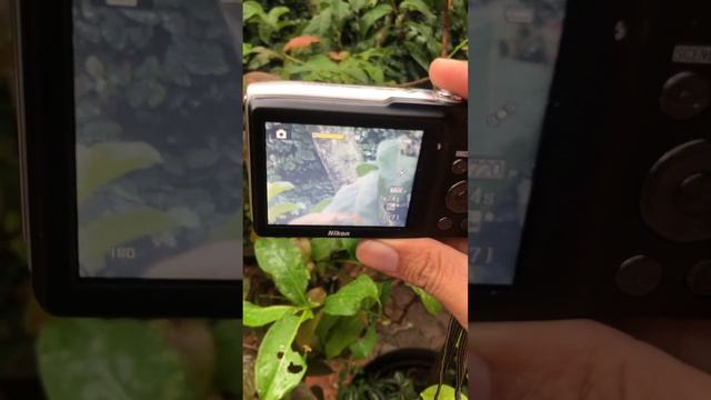 Nikon Coolpix S3200 смотреть онлайн