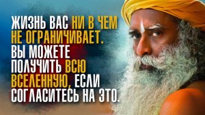 Садхгуру - Волшебство – повсюду. Когда вы умеете жить, жизнь – не что иное, как ежедневное чудо.