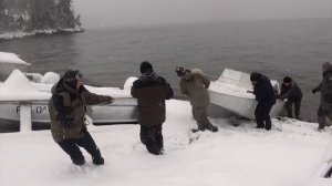 Алтайский заповедник. Телецкое озеро. Медвежата катаются с горки. Кордон Язула. Озеро Джулукуль.