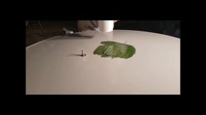 Изготовление матрицы от А до Я