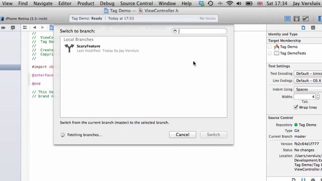 How to use Branches in Xcode смотреть онлайн