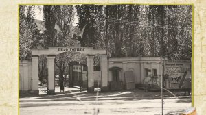 Майли Сай город нашего детства