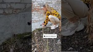 асмр Ксюшы часть 1 заброжки а также подписывайтесь на неё и на меня спкнч