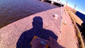 Силиконовые черви из Китая