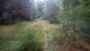 Покатушка на Оршанец