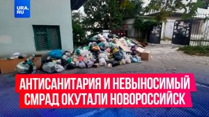 Антисанитария и невыносимый смрад окутали Новороссийск