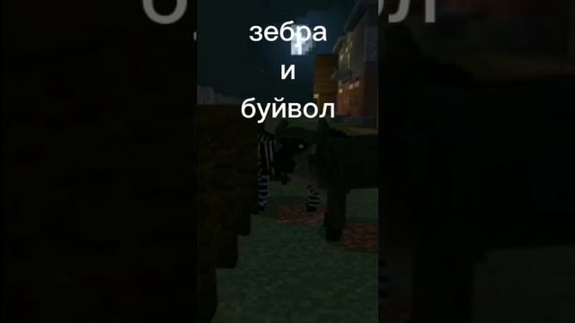 КТО ОБИТАЕТ В ЗАПОВЕДНИКЕ//MINECRAFT #minecraft #animals #zoo #новыйгод смотреть онлайн