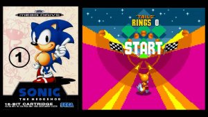 SONIC RUN - Bonus Stage ( ВИДЕО КЛИП )