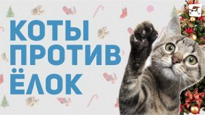 Коты против ёлок